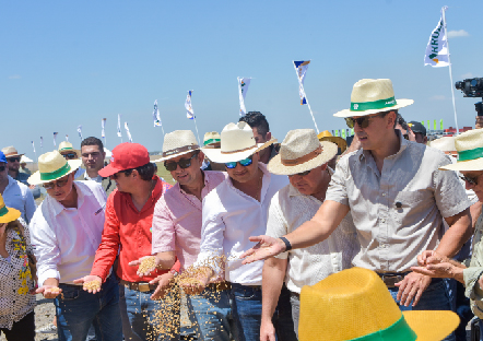 Producción 8